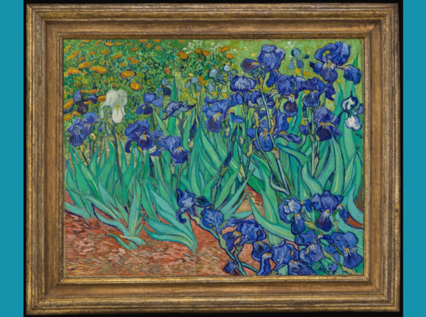 Gallery Shop irises (framed) by vincent van gogh 1889